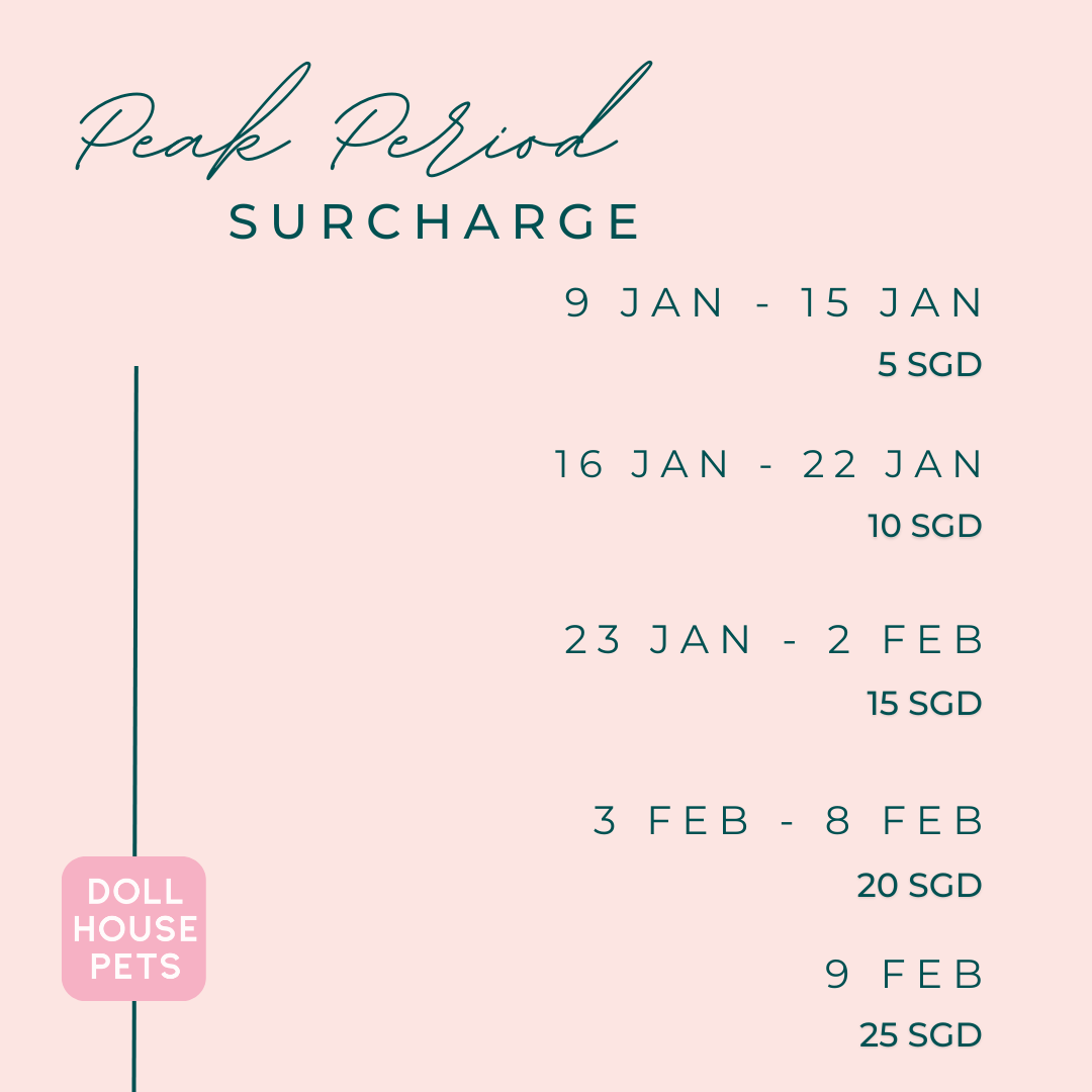 CNY Peak Period Surcharge