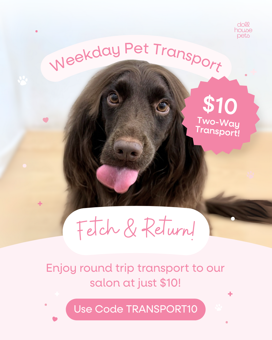 $10 2-way transportation (with Full Grooming service)