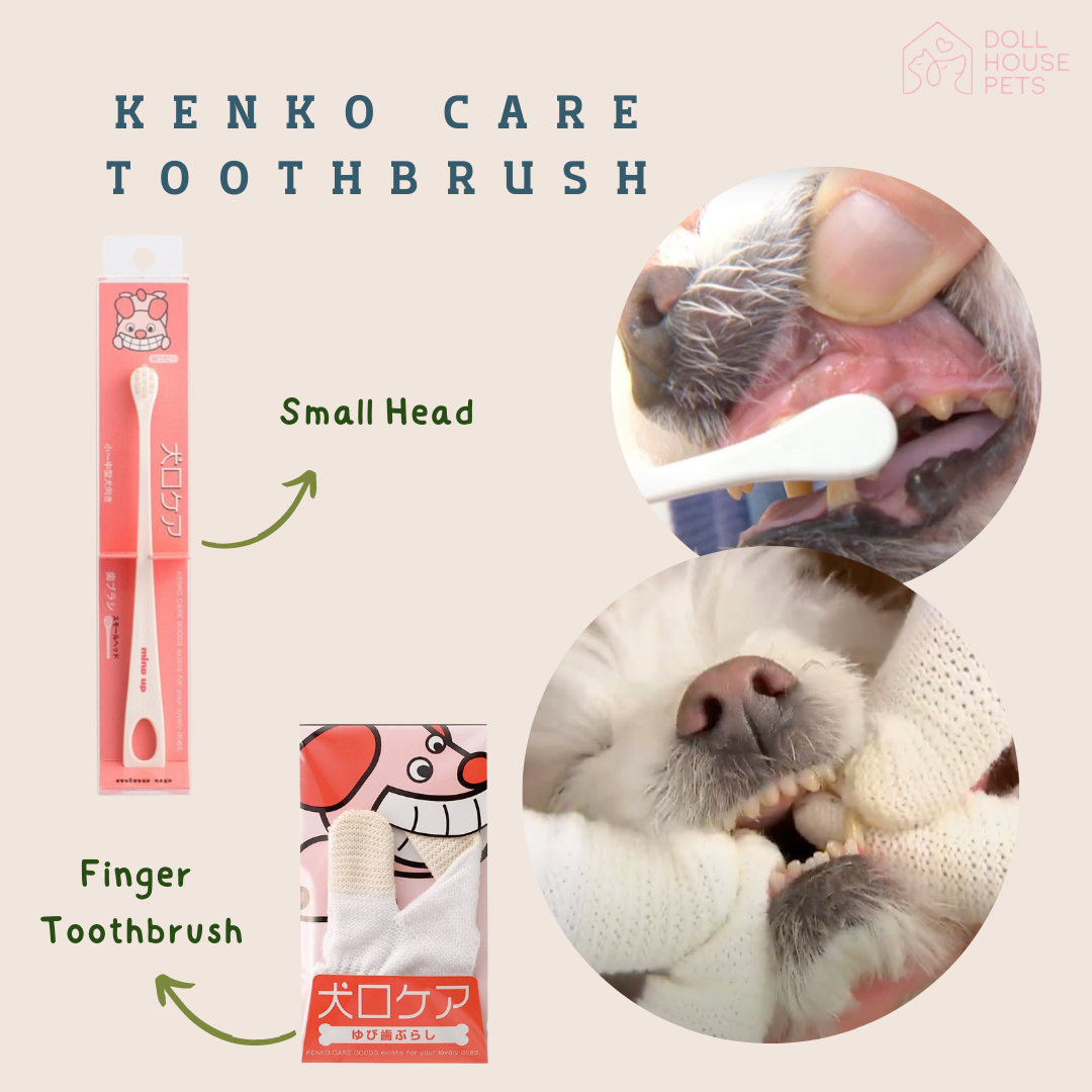 KENKO CARE Dogs & Cats Toothbrush / Dental Care