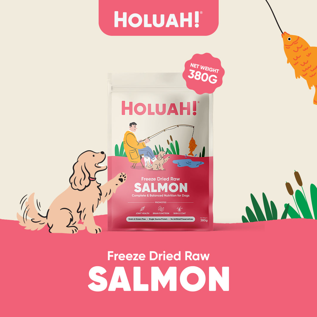 Holuah! Freeze Dried Raw Dog Food