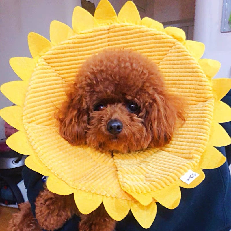 TT.Walk Soft Cat/Dog Recovery Collar