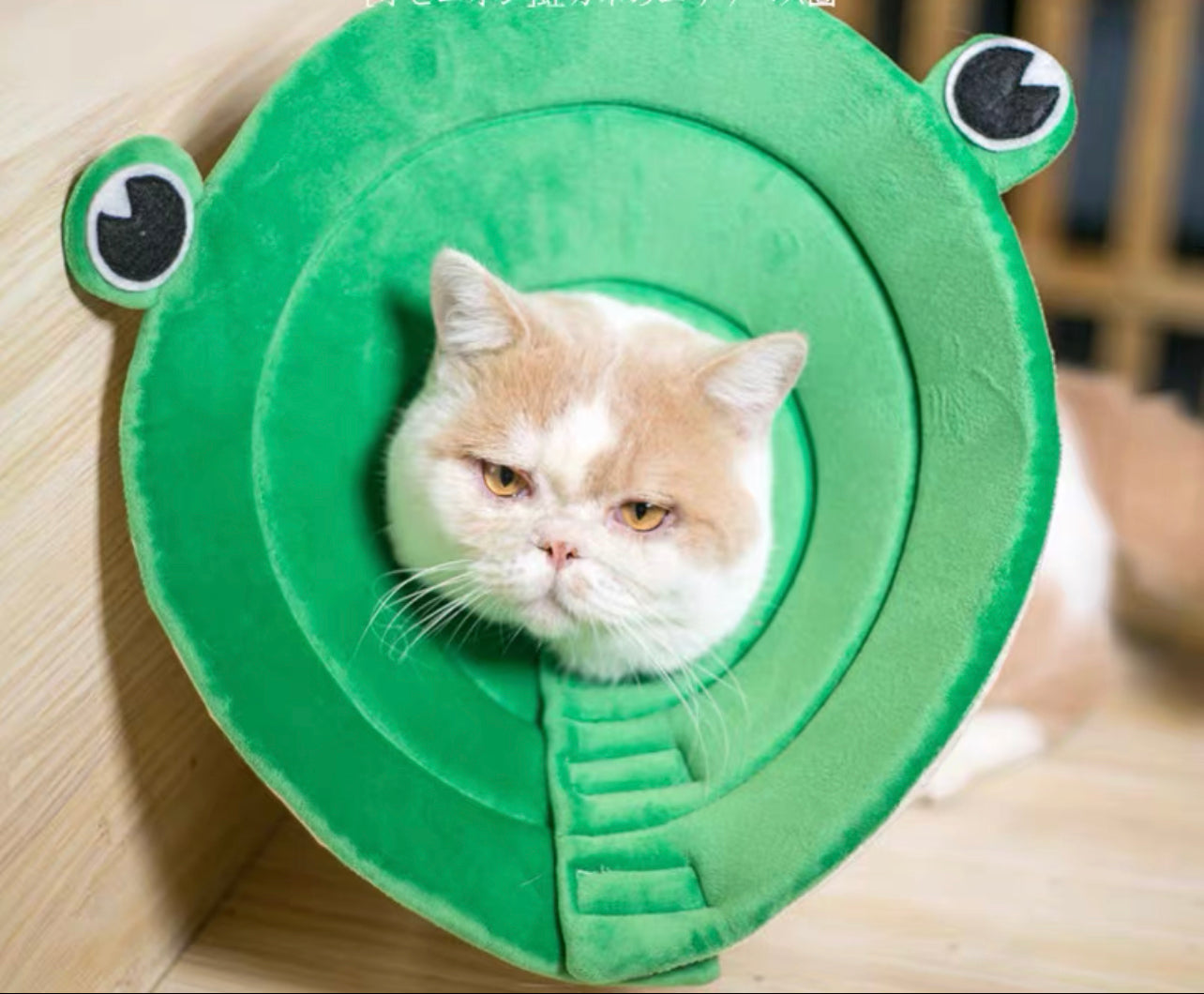 TT.Walk Soft Cat/Dog Recovery Collar