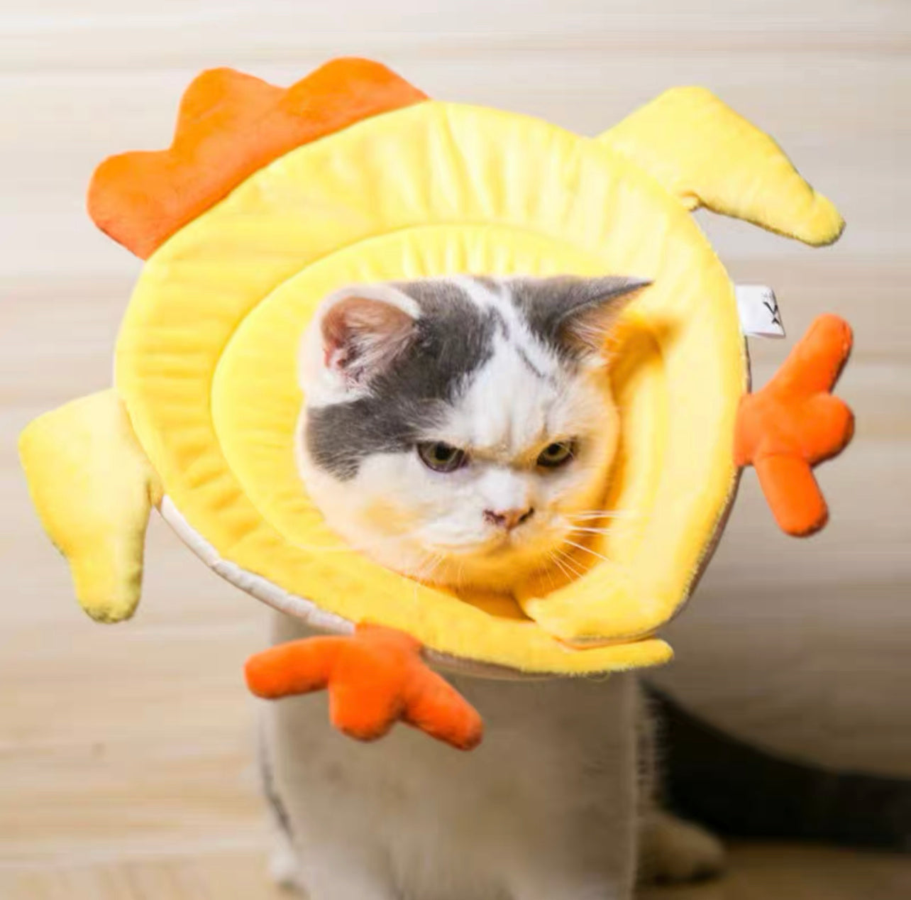 TT.Walk Soft Cat/Dog Recovery Collar