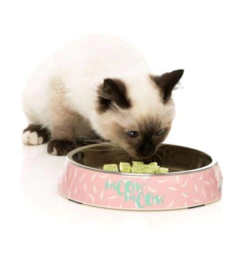 FuzzYard Melamine Cat Bowl - Featherstorm