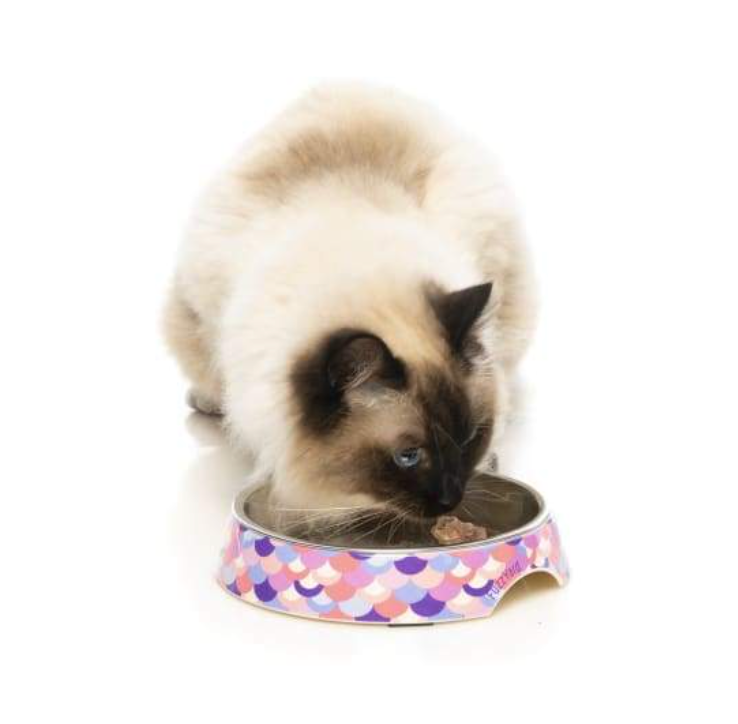 FuzzYard Melamine Cat Bowl - Atlantica
