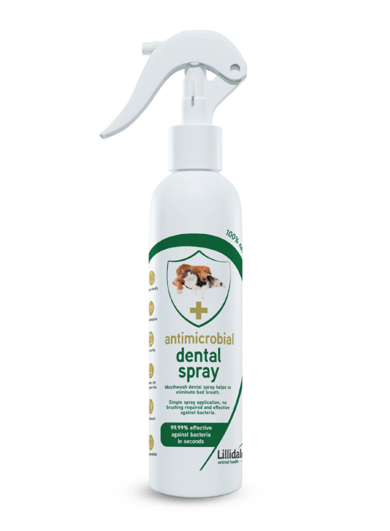 Lillidale Antimicrobial Dental Spray