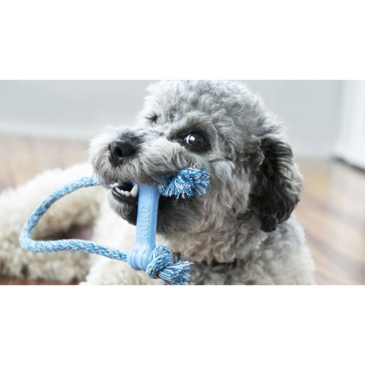 Kong Goodie Bone With Rope XS