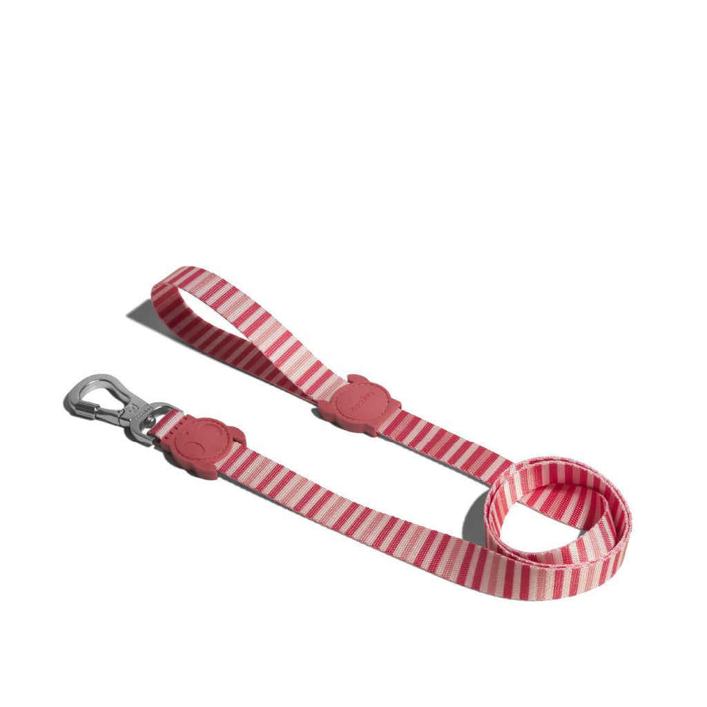 Zee.dog Leash Size (S)