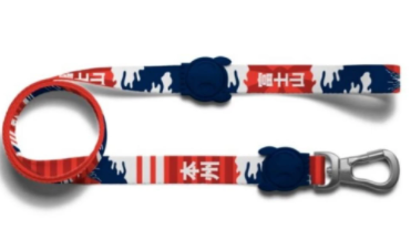 Zeedog Leash Size (XS)