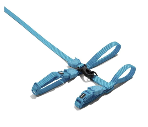 Zee.Cat Harness & Leash