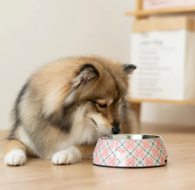 Ohpopdog Non-slip Bowl - Heritage Bibik Pink