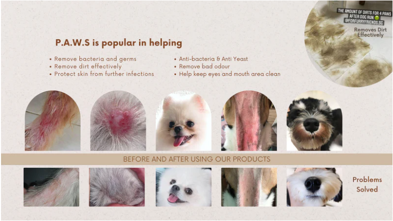 For Furry Friends PET'S ACTIVATED WATER SANITIZER (P.A.W.S) TRAVEL WIPES (20 PCS PER PACKET)