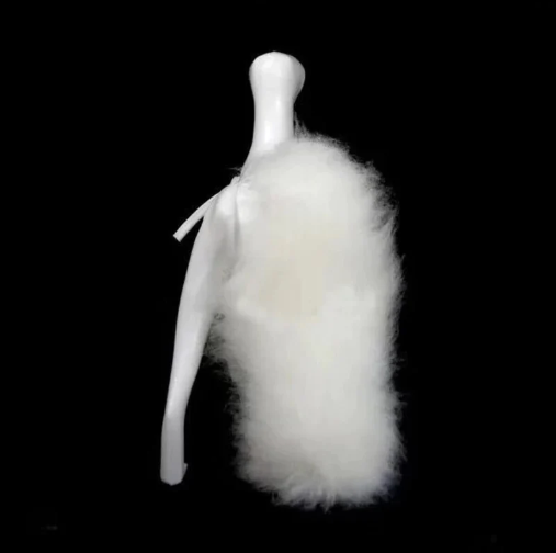 Poodle Fur