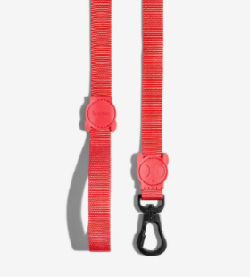 Zeedog Leash Size (XS)