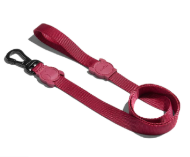 Zeedog Leash Size (XS)