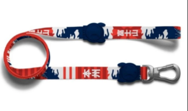 Zeedog Leash Size (XS)