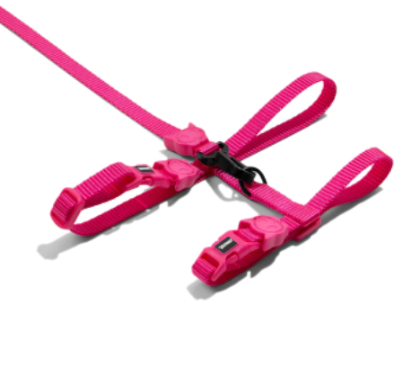 Zee.Cat Harness & Leash