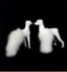 Poodle Fur