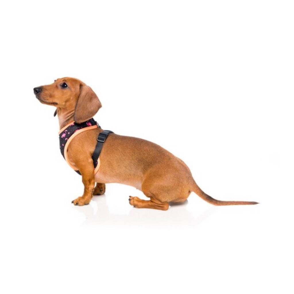FuzzYard Dog Harness - Fabmingo (L)
