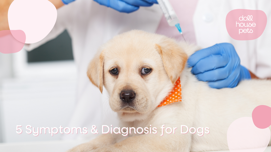 The Importance of Dog Vaccinations