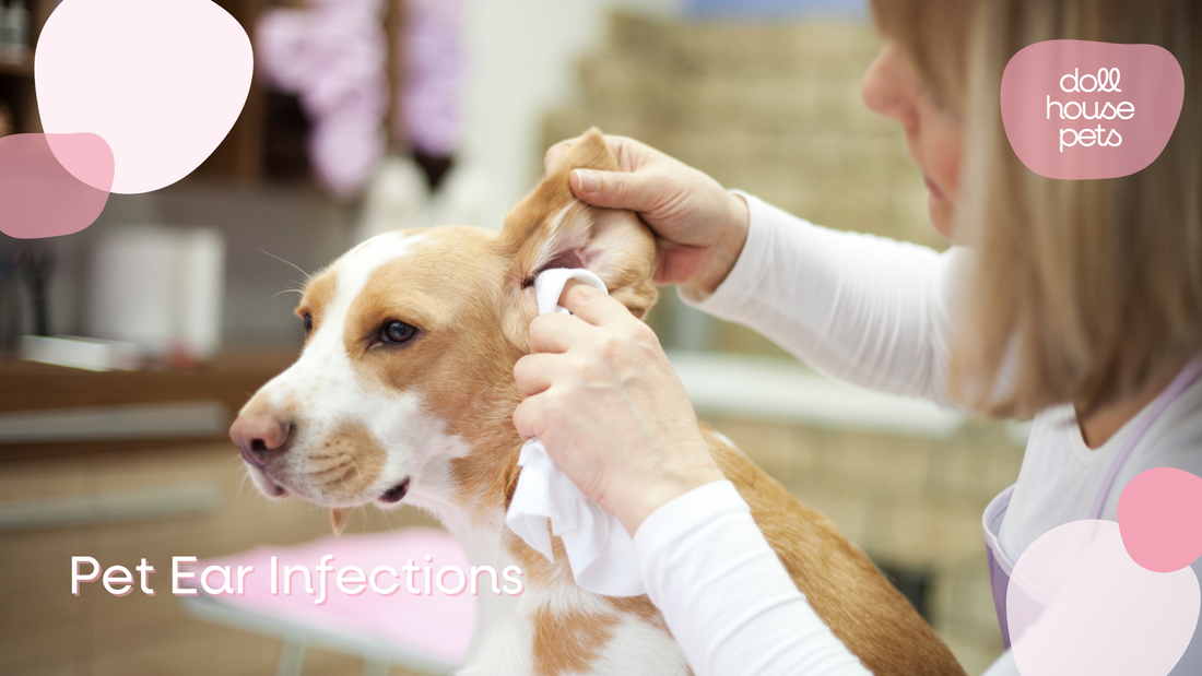 Pet Ear Infections