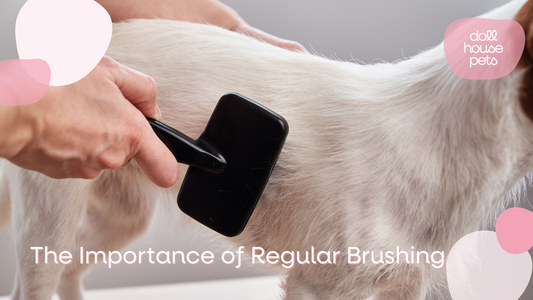 The Importance of Regular Brushing