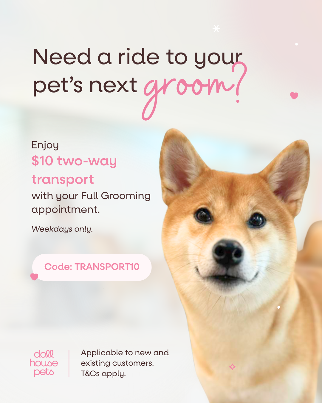$10 2-way transportation (with Full Grooming service)