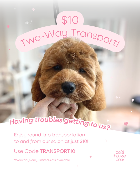 $10 2-way transportation (with Full Grooming service)