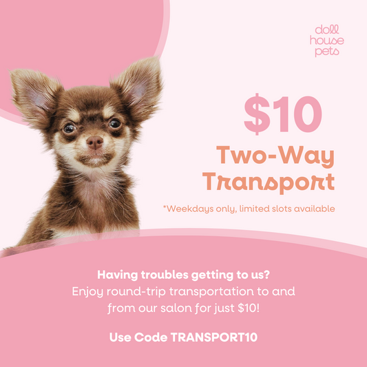 $10 2-way transportation (with Full Grooming service)