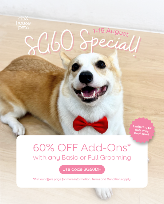 SG60 Celebration 🎈: 60% OFF Add-Ons