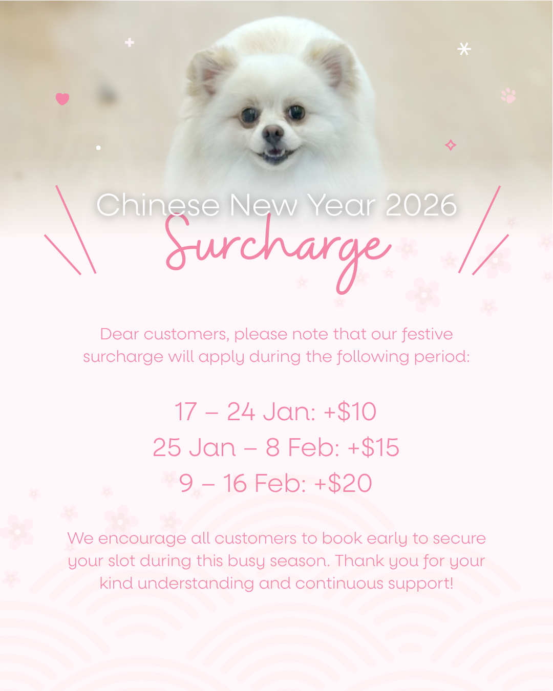 Chinese New Year Surcharge 2026 🧧