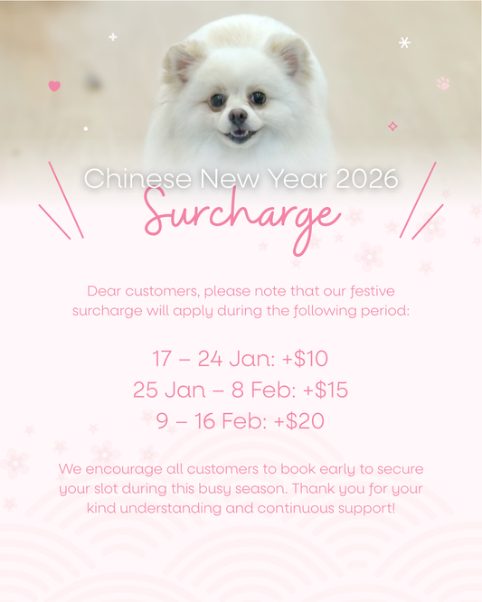 Chinese New Year Surcharge 2026 🧧