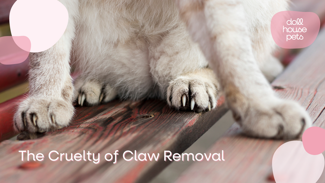 The Cruelty of Claw Removal