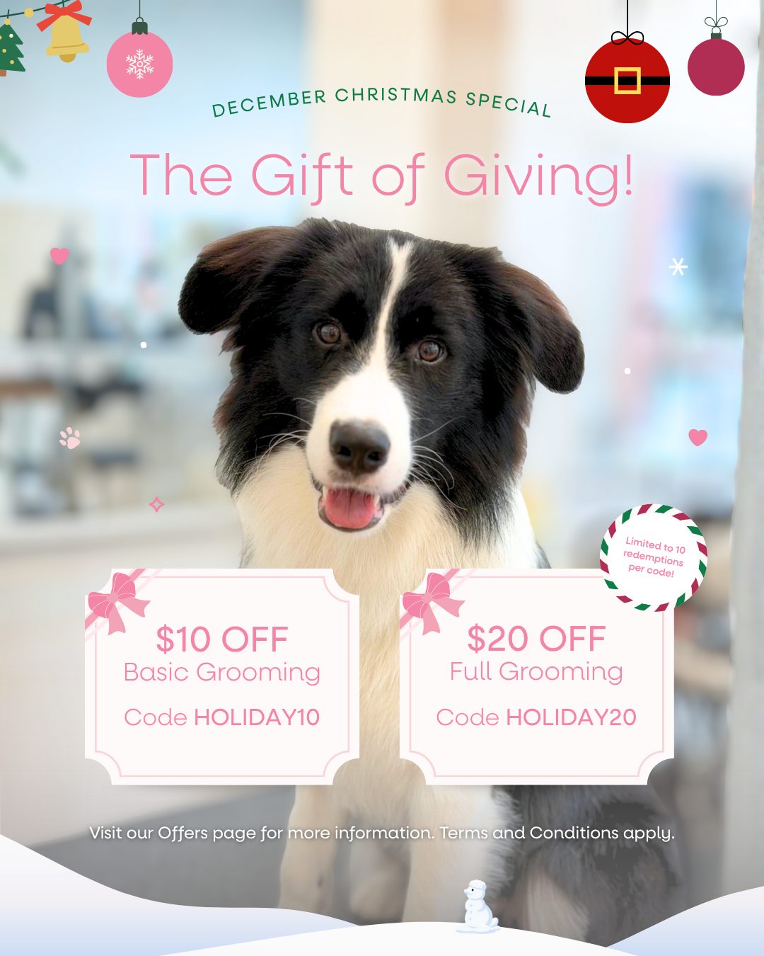 Dec 2025: The Gift of Giving 🎄✨