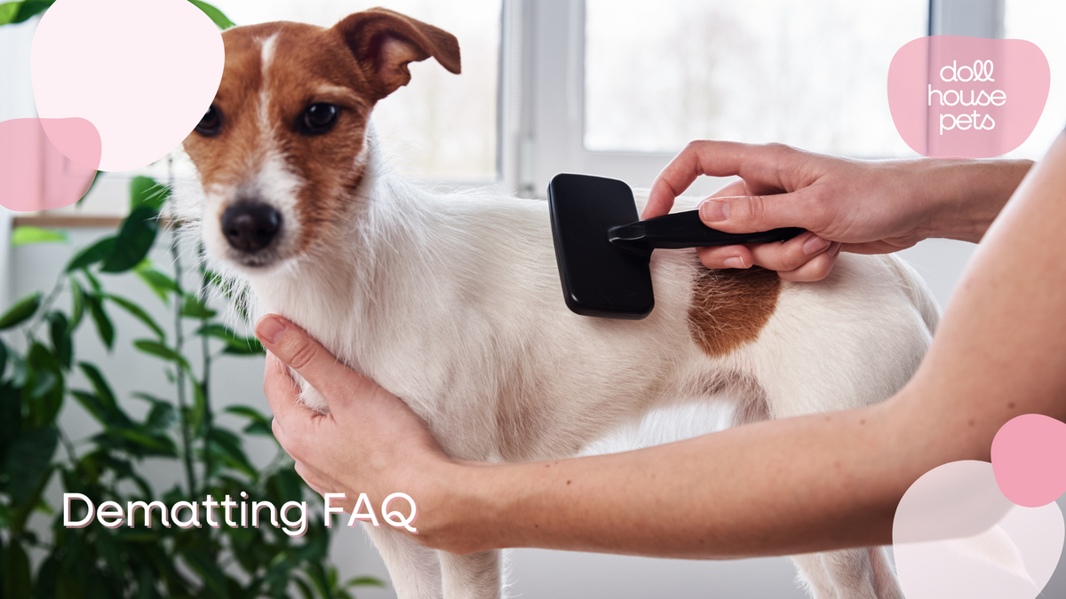 Defatting Process Dematting FAQ: Understanding the Importance and Process – Dollhouse Pets