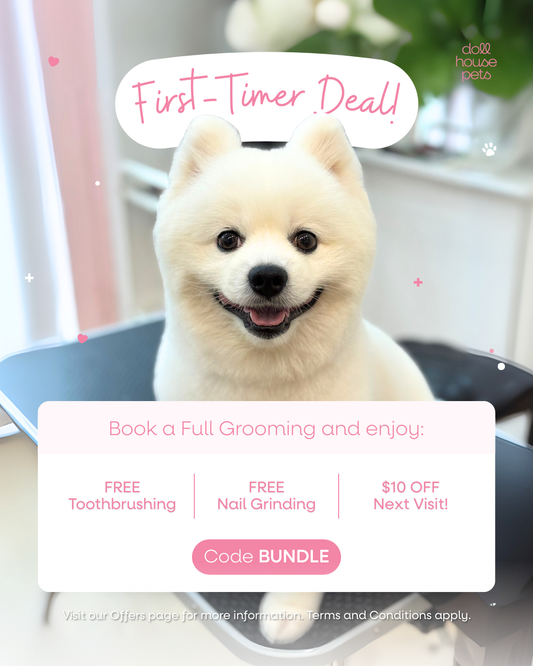 First-Timer Bundle: A Warm Welcome to Dollhouse Pets!