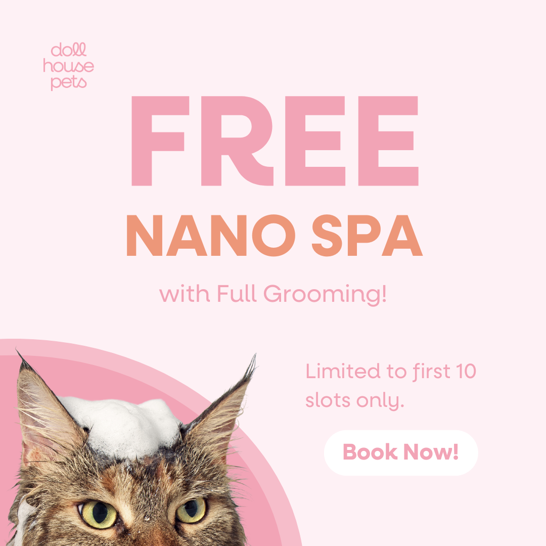 FREE Nano Bubble Spa with Full Grooming!