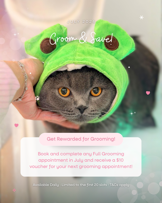 🐾 July Groom & Save Promotion