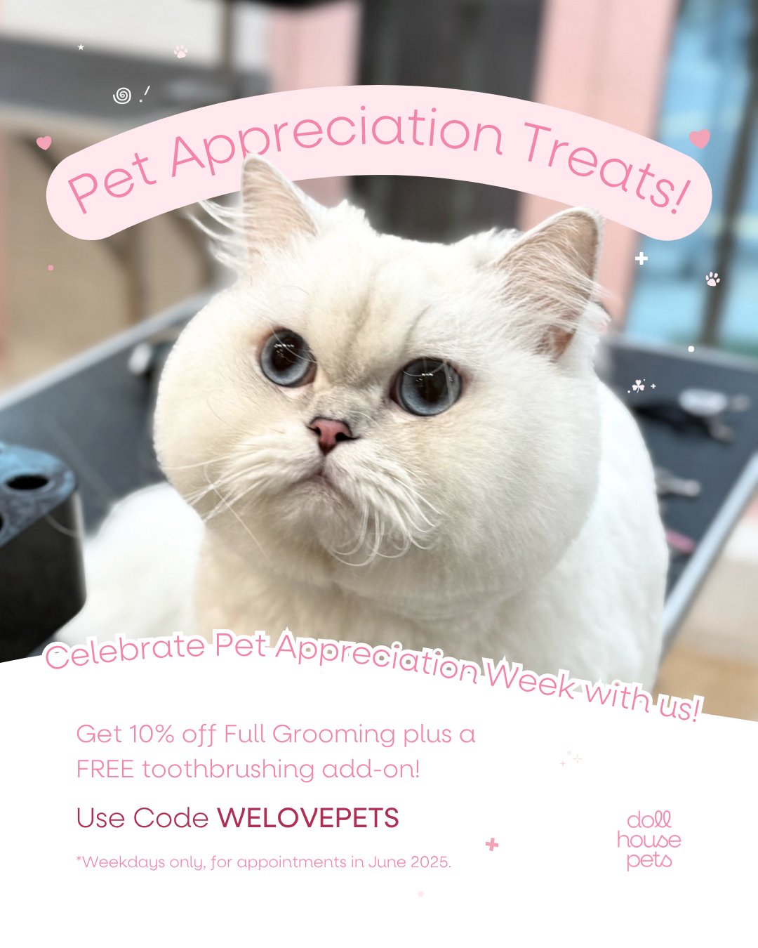 ✨ June Weekday Grooming Promotion!