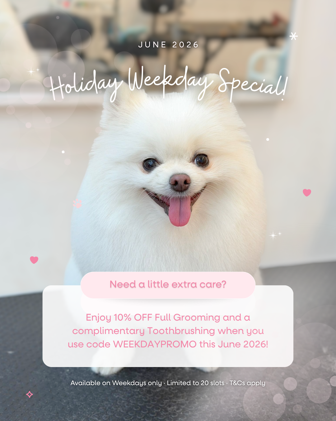 June 2026: Weekday Grooming Special ✨
