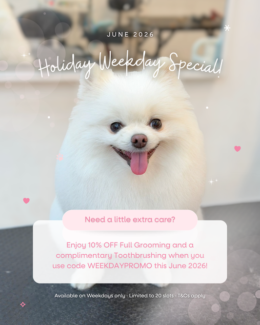 June 2026: Weekday Grooming Special ✨