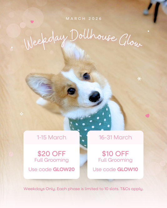 March 2026: Weekday Dollhouse Glow ✨