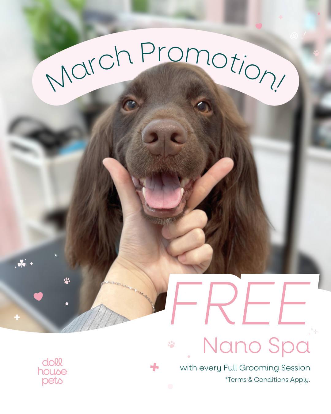 March 2025 Promotion: Free Nano Spa! 💖