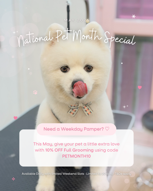 May 2026: Celebrate National Pet Month with a Little Extra Care 🐾