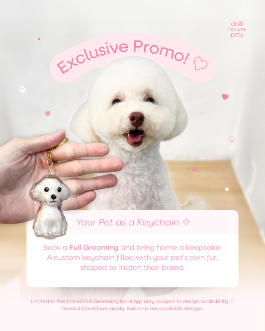 ✨ Your Pet as a Keychain: Exclusive Promotion ✨