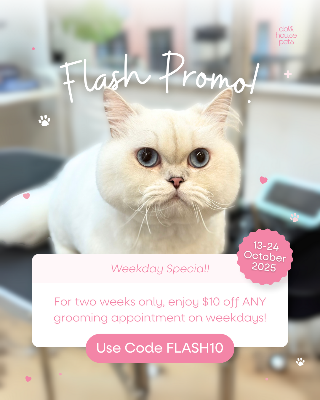 ✨ Weekday Flash Promo – $10 Off Grooming Services!