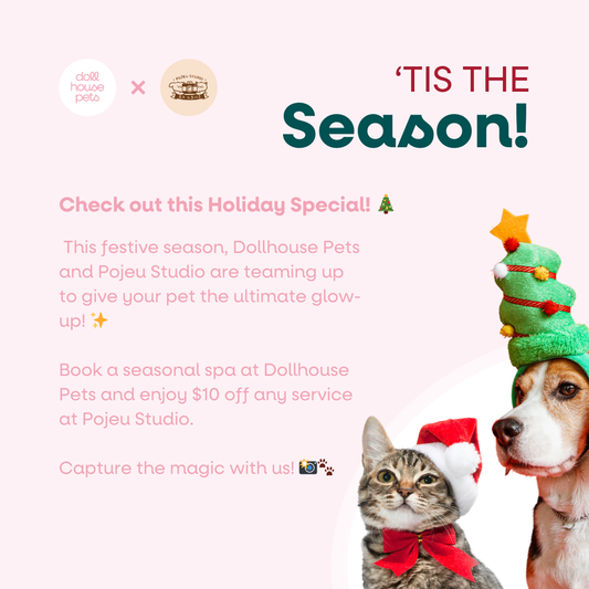 Dollhouse Pets x Pojeu Studio: Snap & Spa Holiday Special! 🎉