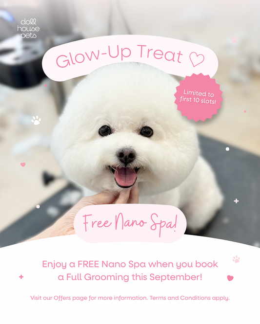 ✨ September Glow-Up Treat ✨