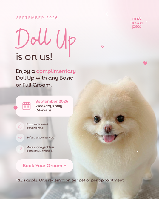 September 2026: Your First Doll Up Is On Us! 🎀