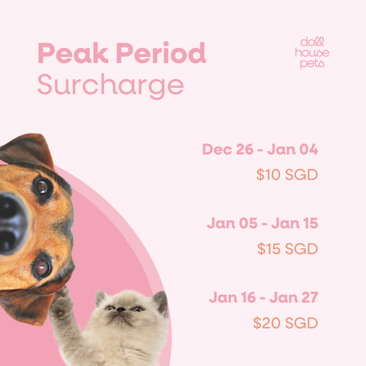 Peak Period Surcharge 2025